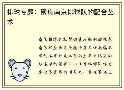 排球专题：聚焦南京排球队的配合艺术